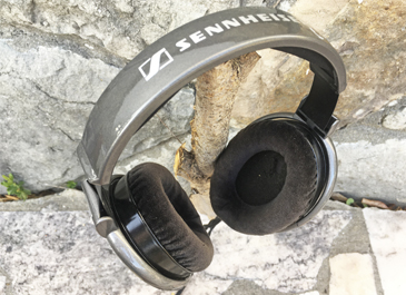 Sennheiser /  / Headphones